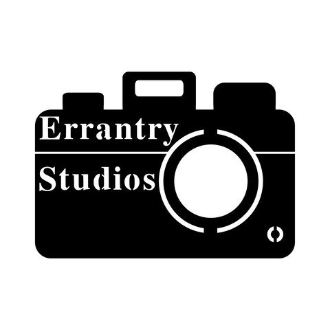 errantry studios/camera sign/SILVER
