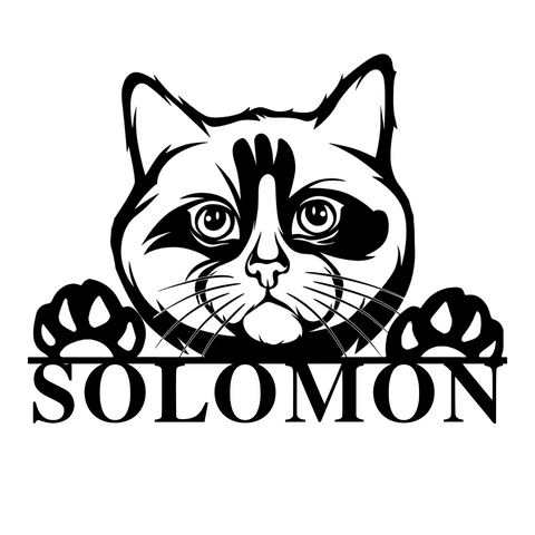 solomon/ragdoll sign/BLACK