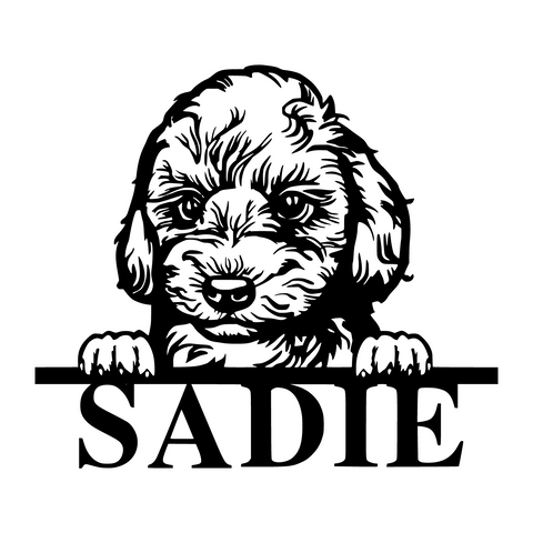 sadie/toy poodle sign/BLACK