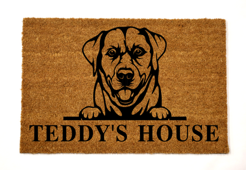 teddy's house/lab doormat
