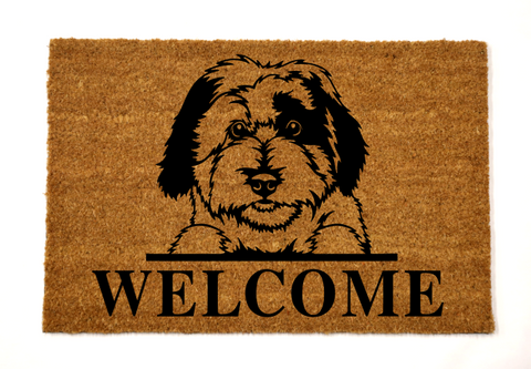 english sheep dog/welcome mat