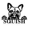 squish bulldog/dog/BLACK