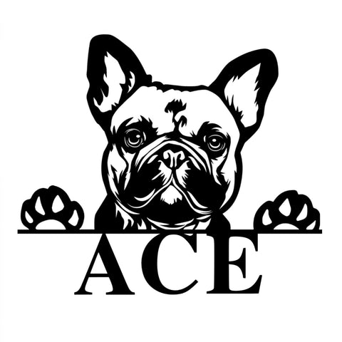ace/french bulldog/black