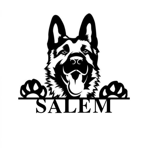 salem 18/german shepherd/BLACK
