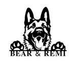 bear & remi/german shep/BLACK