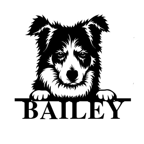 bailey/border collie sign/BLACK
