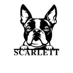 scarlett/boston terrier/SILVER
