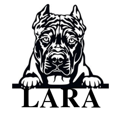 lara/pitbull sign/BLACK