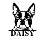 daisy/boston terrier sign/BLACK