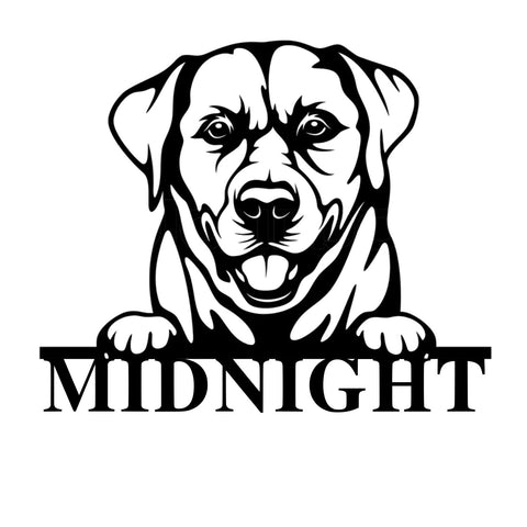 midnight/labrador sign/BLACK