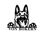 Von Bokern/ German Shepard/ BLACK