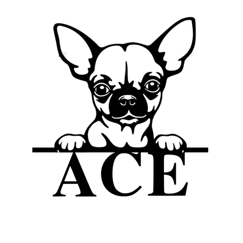 ace/chihuahua sign/BLACK