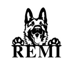 remi/german shepherd/BLACK